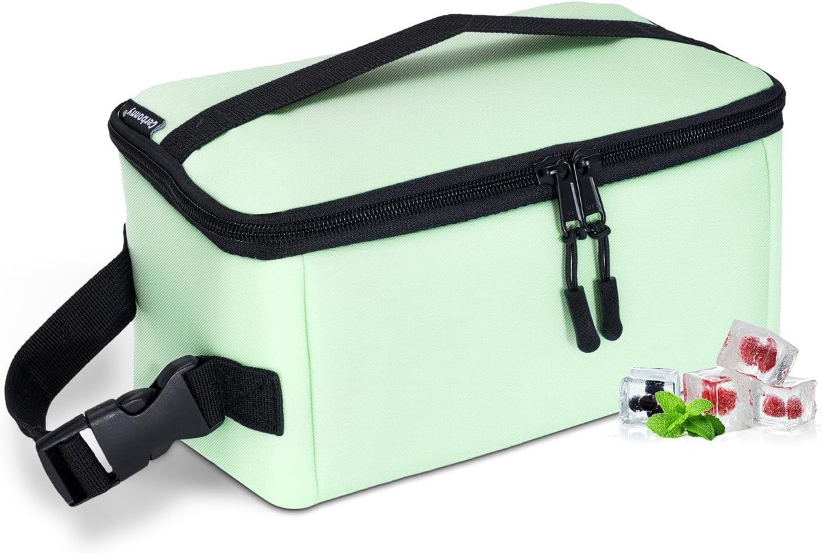 SnelShoppen - Kleine Lunchbox voor Kinderen/Volwassenen, Geïsoleerde Mini Koeltas met Gesphandgreep, Ideaal voor Werk, School en Reizen - Compact en H