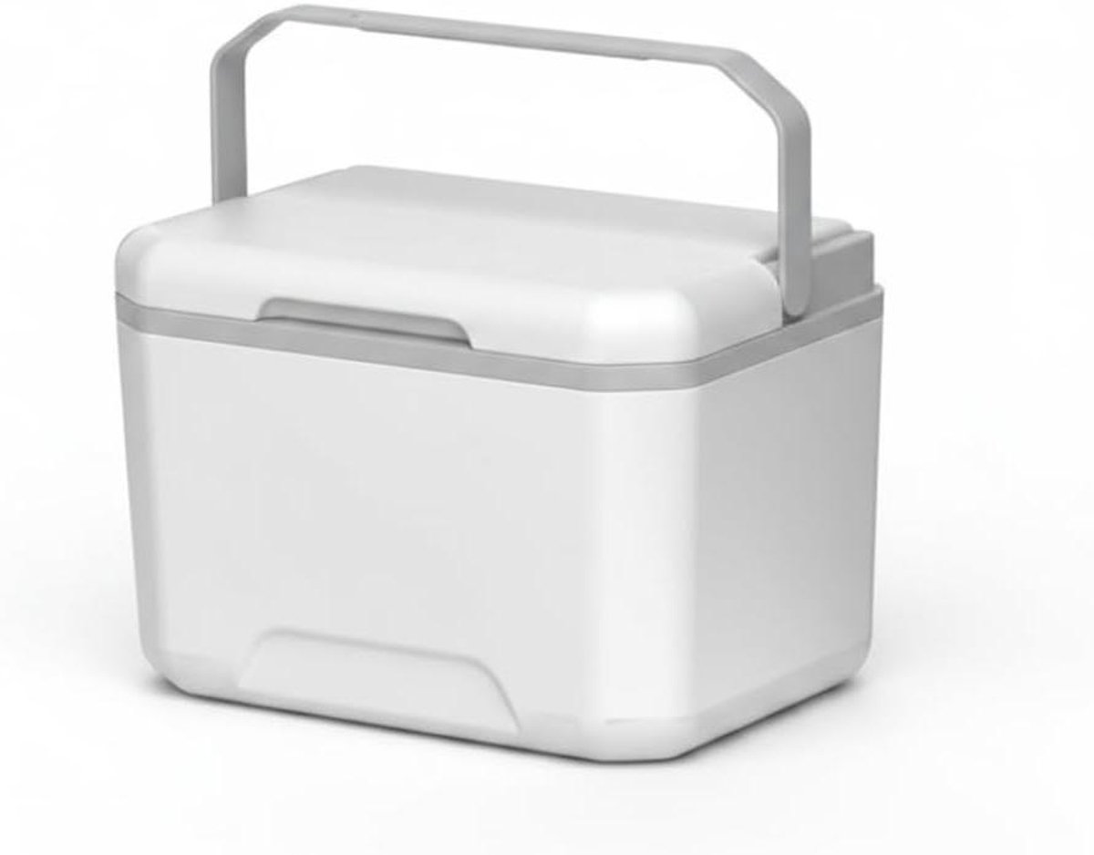 Kleine Koeler - IJskistkoeler Koelbox - Buitenactiviteiten - Voedselveilig Materiaal - 5L - Wit/Grijs
