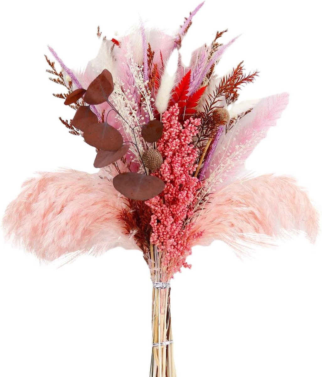 Gedroogd Pampas Gras - Gedroogde Bloemen Bos - Huis Decoratie - Handgeplukte Planten - 45 cm Hoog - Roze