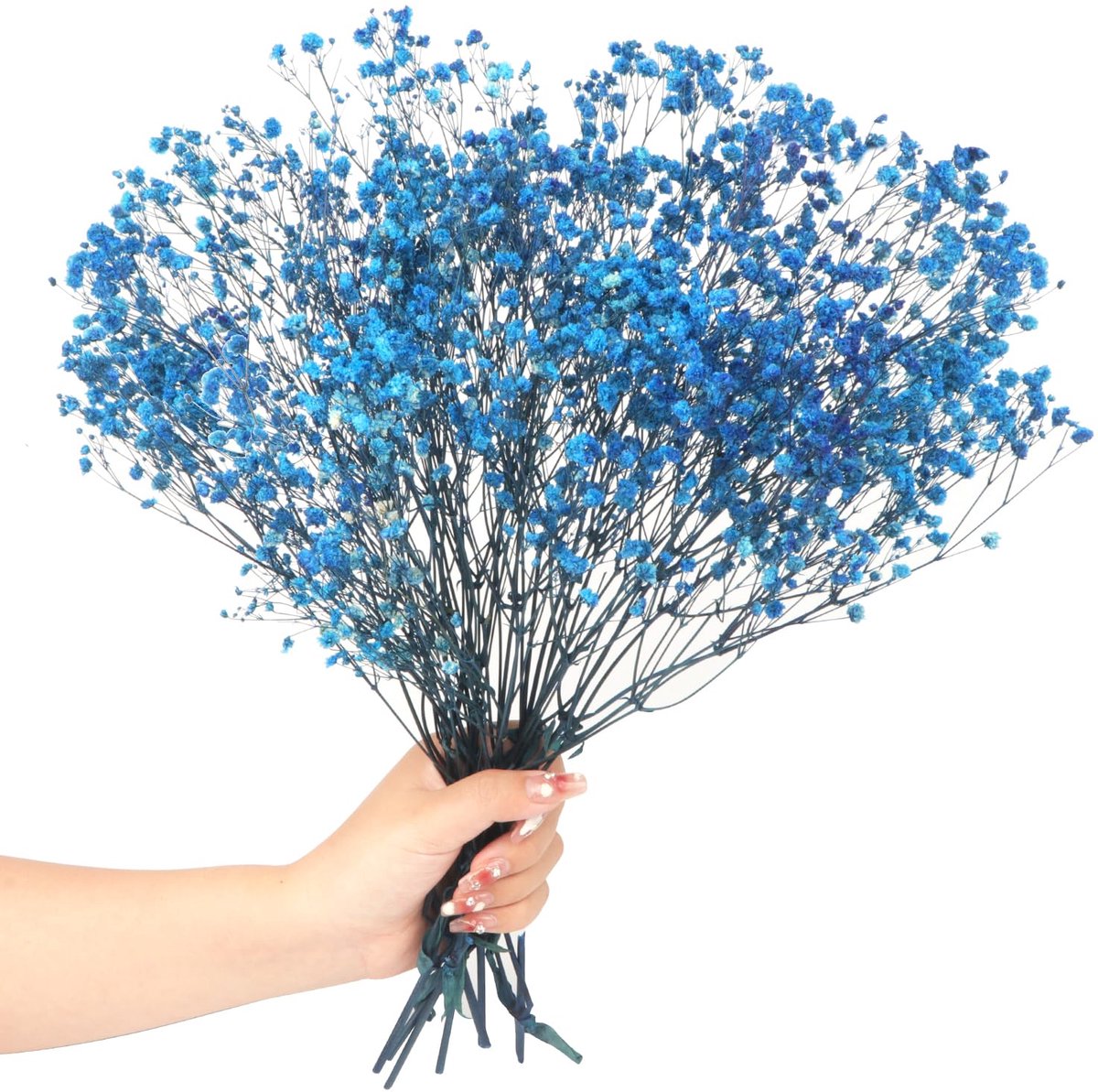 SnelShoppen - 40 cm Gedroogd Schleierkraut 70 g 2000+ Natuurlijk Gypsophila Droogbloemen Boeket voor Bruiloft Bruidsboeketten Vazen Decoratie (Saffier
