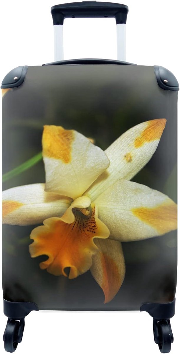 SnelShoppen - Photo case 35x55 cm - Twee orchideeën bloemen - Multikleur - Lichtgewicht handtas - Perfect voor reizen, vakantie, uitjes
