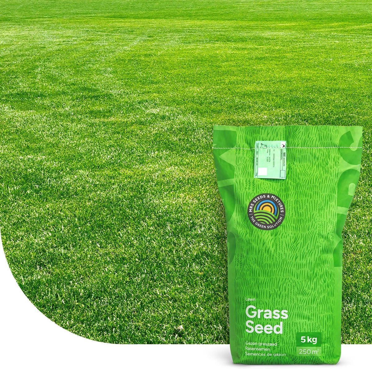 SnelShoppen - Snelherstel: Graszaad Vulling | 1 kg voor 50 m² | Snelle Germinatie | Dichte en Groene Grasmat | Voor Gazons en Sportvelden