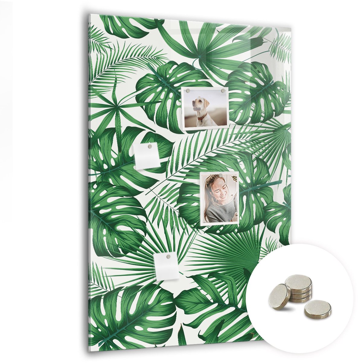 Coloray Glazen Magneetbord - Magnetisch Bord Exotische grote bladeren - 70x100 cm - Groente Magneetbord - Magnetic Board - Woonkamer Decoratie