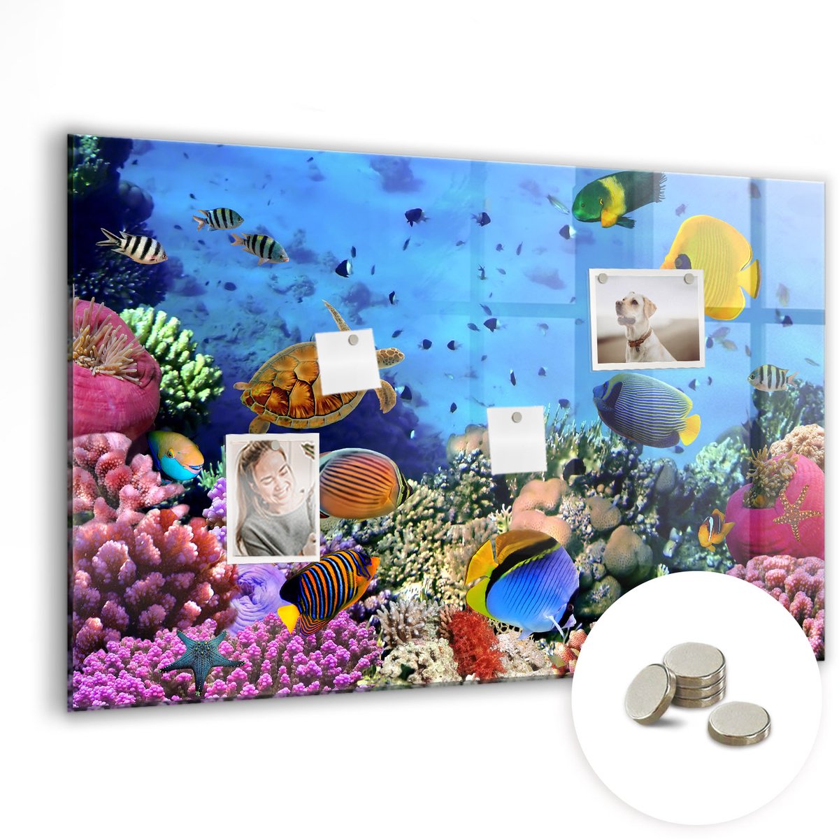 Coloray Glazen Magneetbord - Magnetisch Bord Zonsopgangbloemen - 90x60 cm - Veelkleurig Magneetbord - Magnetic Board - Woonkamer Decoratie