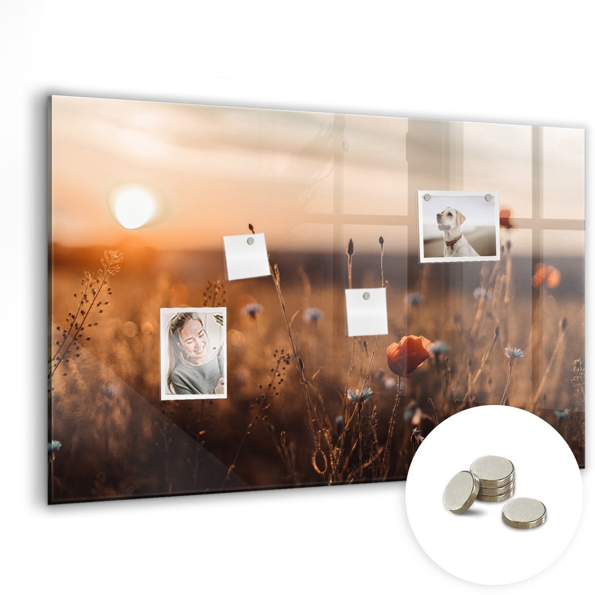 Coloray Glazen Magneetbord - Magnetisch Bord Zonnebloem - 90x60 cm - Veelkleurig Magneetbord - Magnetic Board - Woonkamer Decoratie
