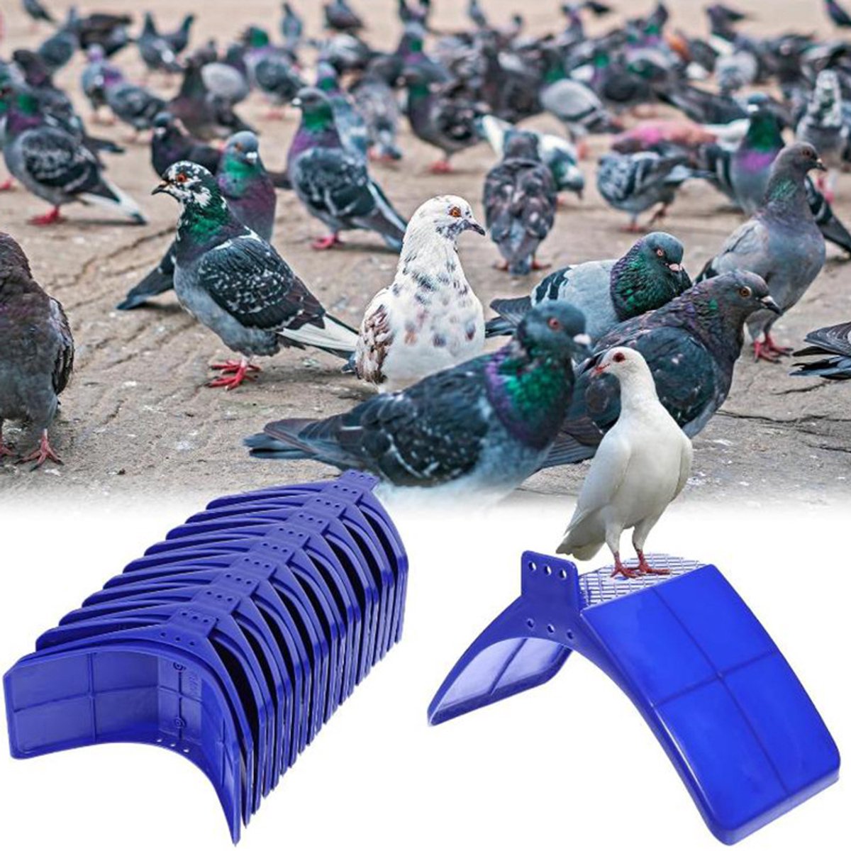 Blauwe plastic duif zitstokken set - boogvormige landingsplank voor duivenhok - schroefbaar rustplatform voor postduiven sierduiven volière accessoire -Verpakking van 10 stuks