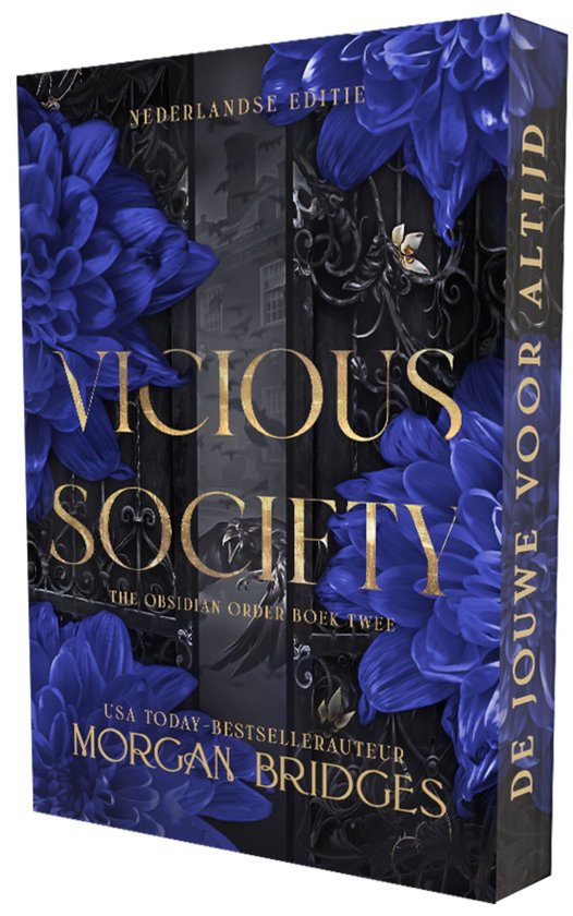 The Obsidian Order 2 - Vicious society - cover