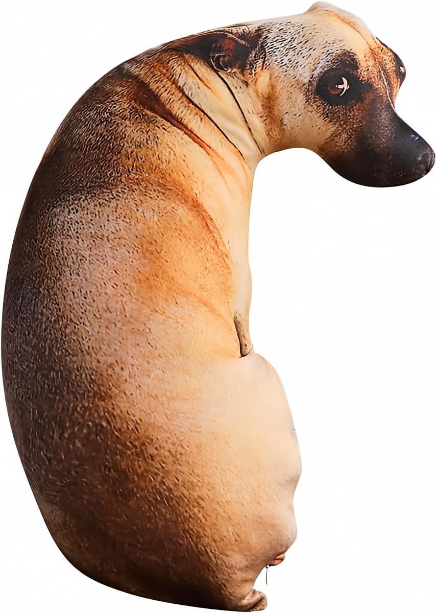 SnelShoppen - 3D Plush Kussen voor Honden, Zachte Sofa Stoel Decoratie voor Kinderen, Luxe Pluche, Vivid Design, Duurzaam en Comfortabel voor Thuisgeb