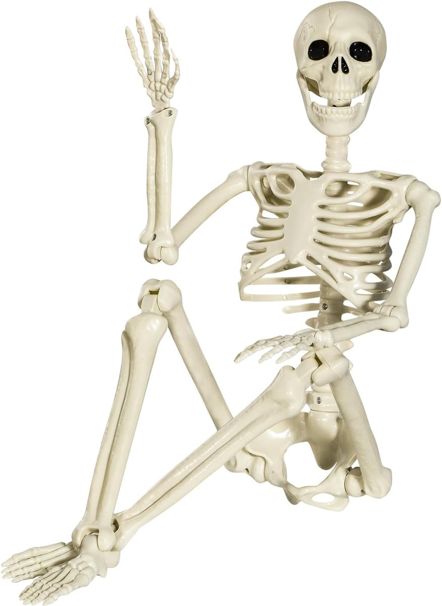 SnelShoppen - Halloween Poseable Skeleton 90cm - Volledig Lichaam Skelet met Beweegbare Gewrichten voor Halloween Decoraties Buiten en Binnen, Tuin, P