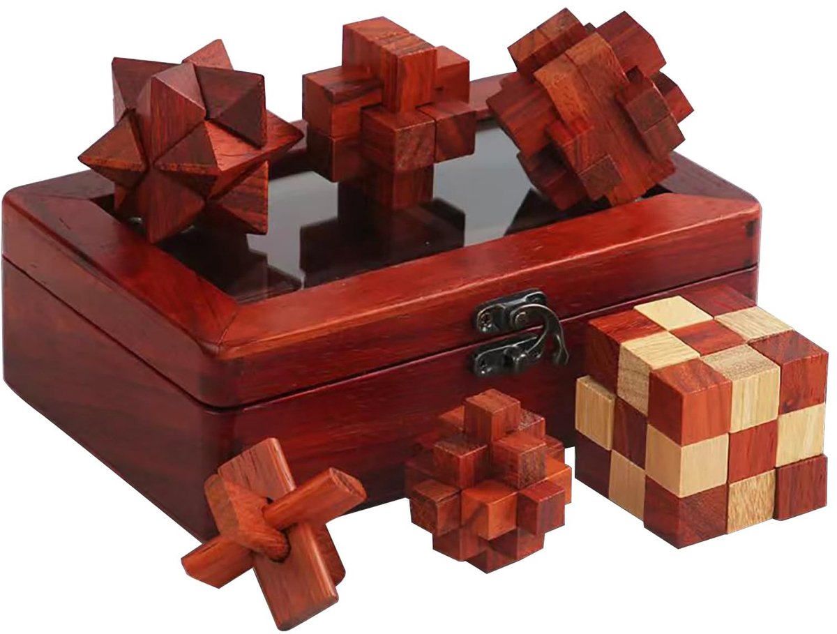 Omgoods - Set van 6 Houten 3D Puzzels voor Breintraining