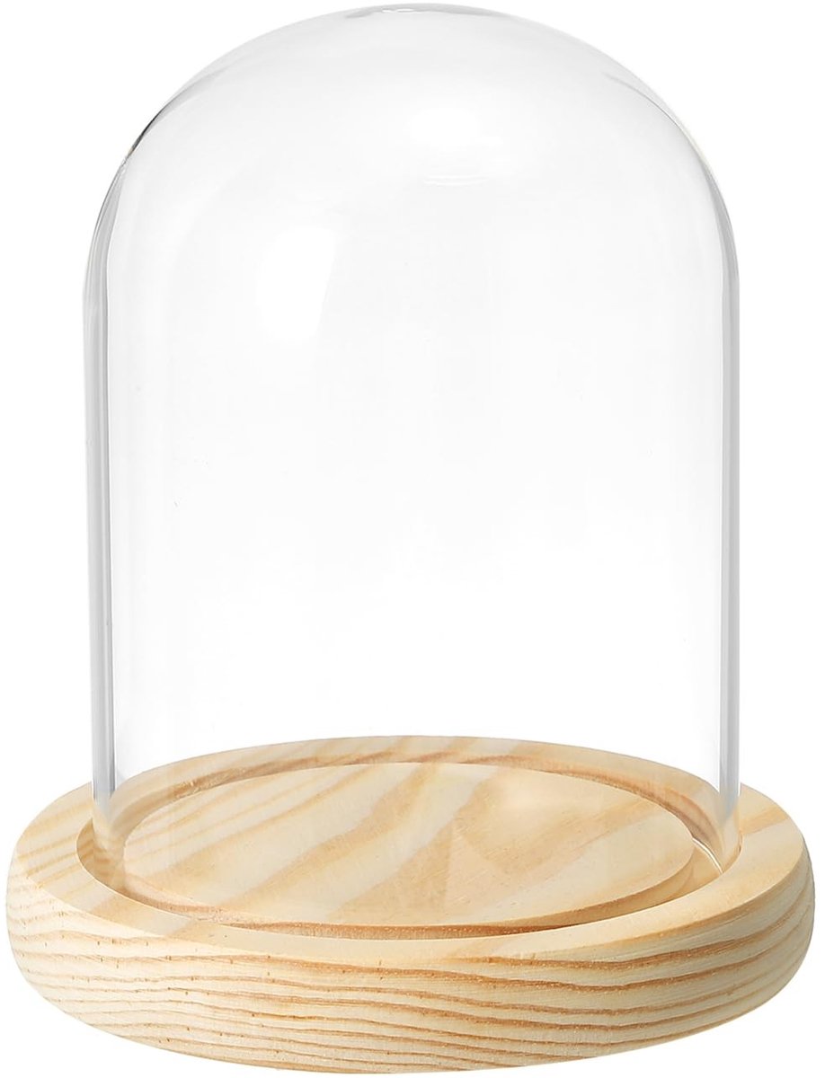 Omgoods - Glazen Cloche Dome met Houten Basis voor Decoratie