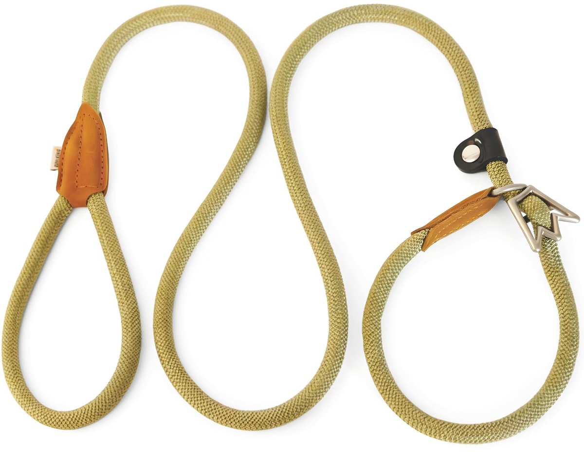 Omgoods - Retractable Hondenlijn met Stopfunctie 180 cm