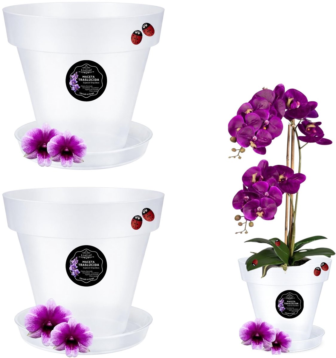 Omgoods - Transparante Orchidee Pot met Ondertafel