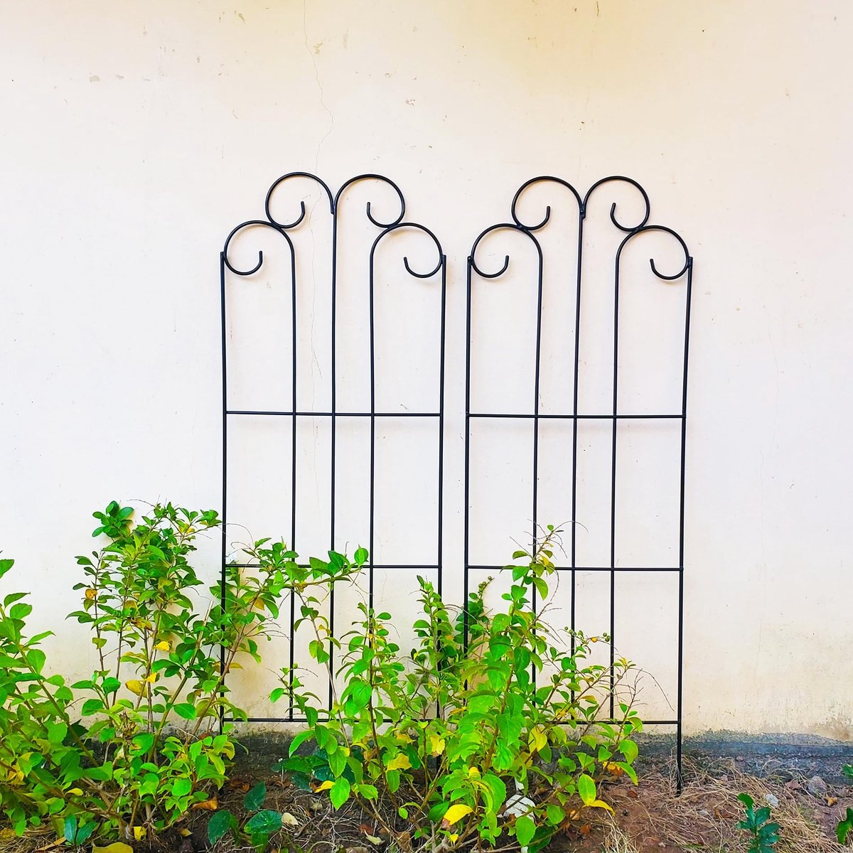 Omgoods - Set van 2 Zwarte Tuin Trelisses voor Klimplanten