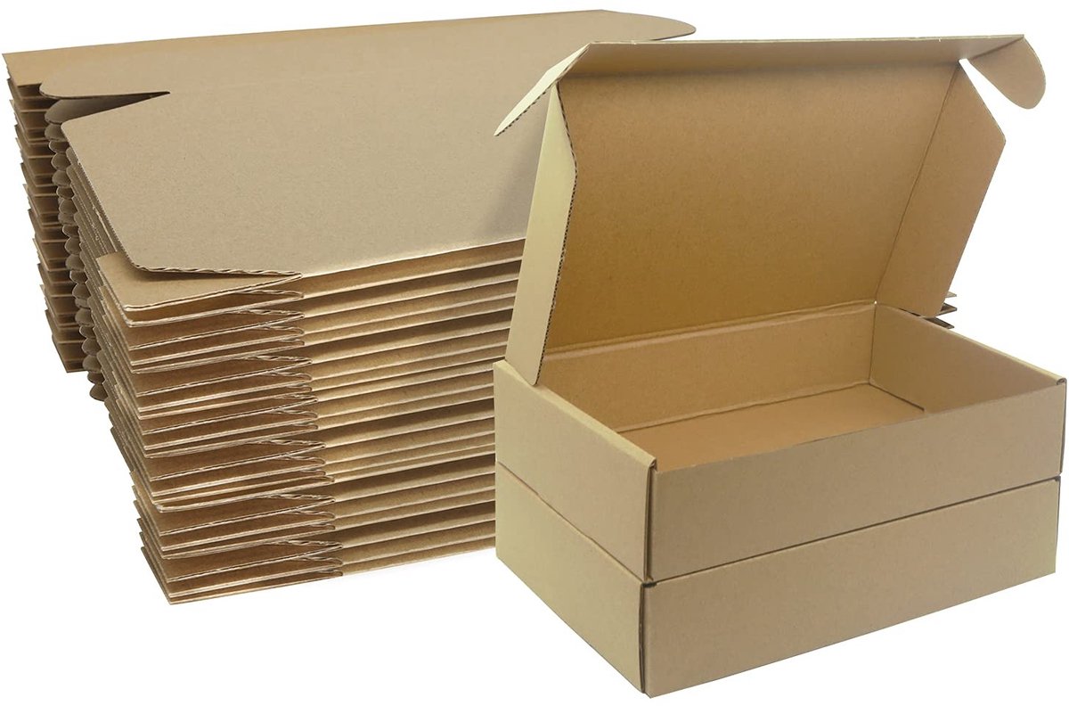 Omgoods - Kartonnen Verzenddozen, 230x160x50mm, Set van 10