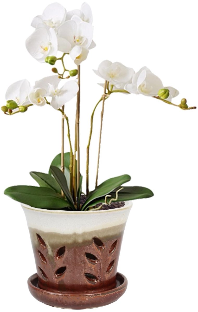 Omgoods - Keramische Orchidee Pot met Drainagegaten en Saucer