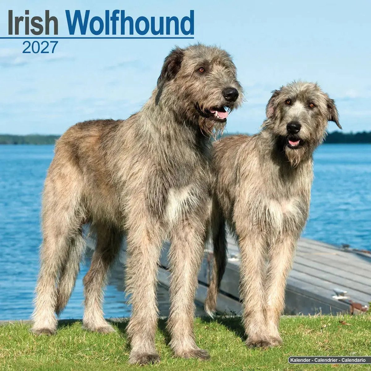 Ierse Wolfshond Kalender 2027
