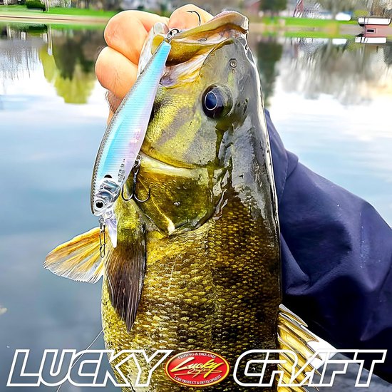 Kunstaas Wobbler - Jerkbait Lokaas - Vissen Op Baars - Unieke Actie - 10 cm - Zebra Aurora Black — afbeelding 3