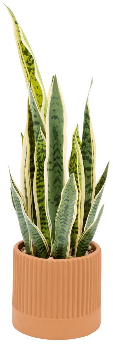 Plante artificielle Nippo H.78cm marron