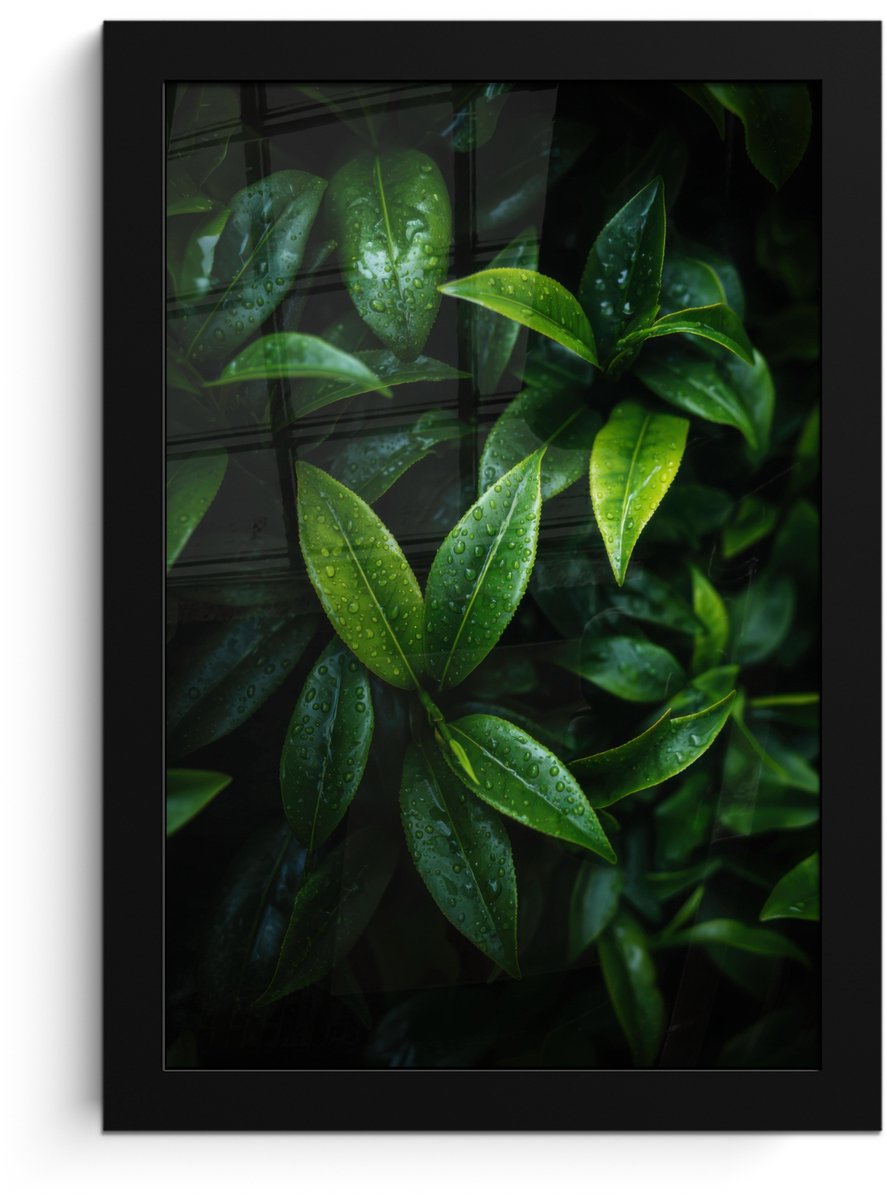 FrameYourWall Poster in lijst - Fotolijst 20x30 cm - Posters - Bladeren - Regendruppels - Licht - Groen - Posterlijst zwart - Decoratie - Wanddecoratie woonkamer - Muurdecoratie slaapkamer