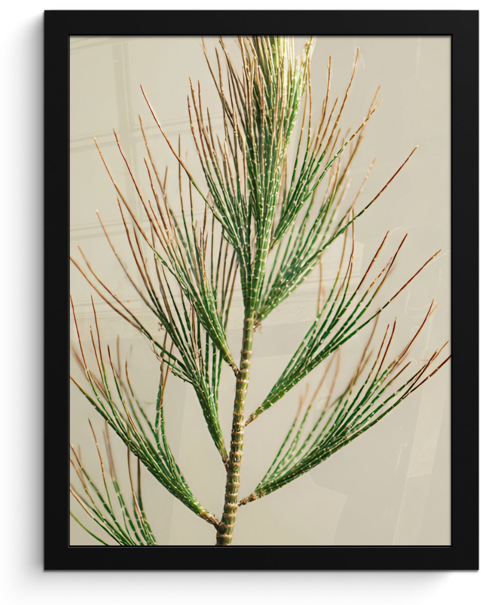 FrameYourWall Poster in lijst - Fotolijst 30x40 cm - Posters - Dennentak - Naaldvormige bladeren - Lichtgroen - Posterlijst zwart - Decoratie - Wanddecoratie woonkamer - Muurdecoratie slaapkamer