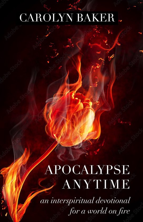 Apocalypse Anytime - cover