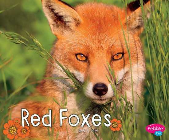 Woodland Wildlife - Red Foxes - cover