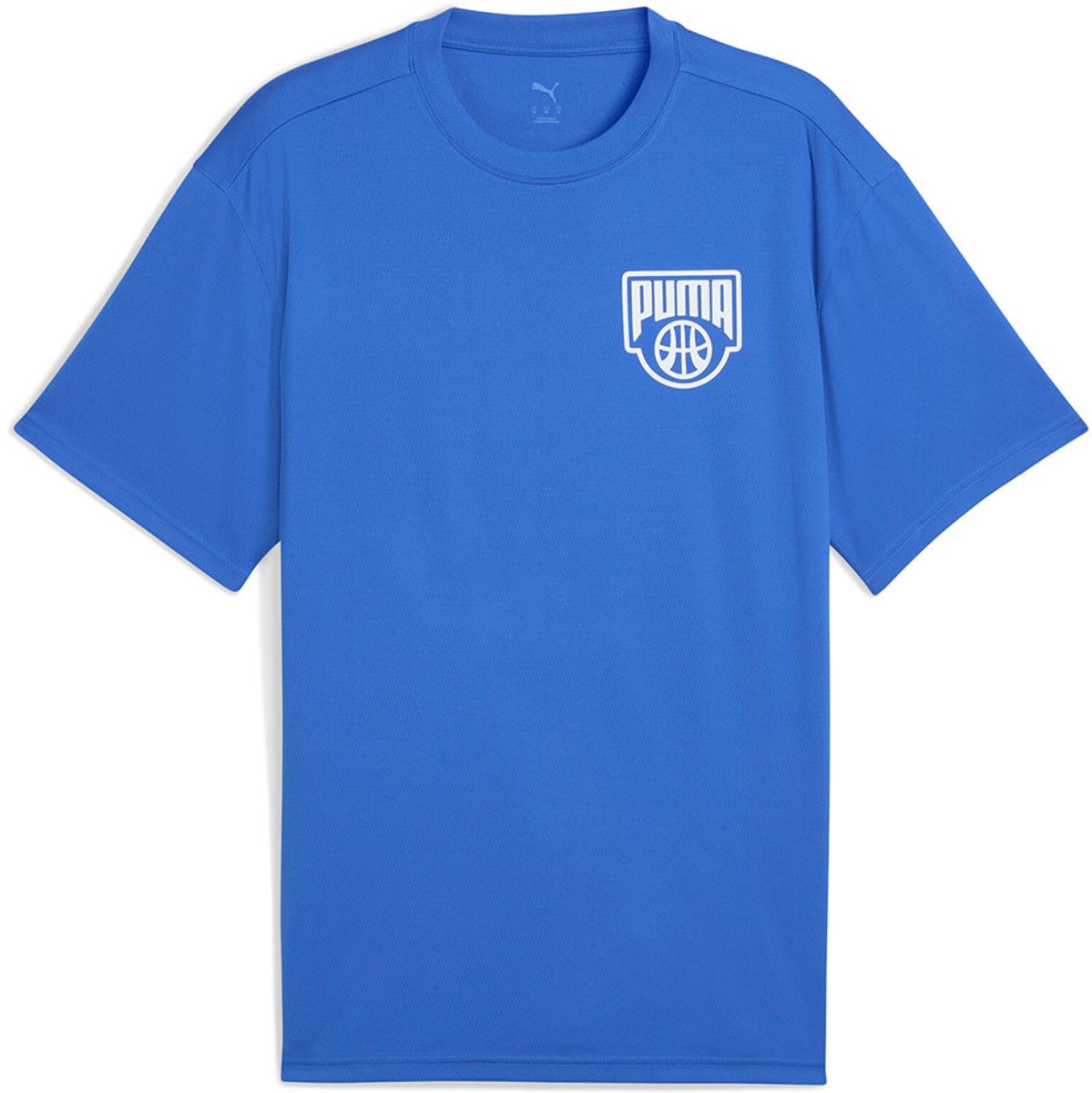 Puma Posterize Ii T-shirt Met Korte Mouwen Man Blauw