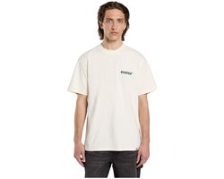 Dickies Gordonsville T-shirt Met Korte Mouwen Beige XL Man