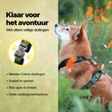 Shiba Inu met groen hondentuigje op een groene achtergrond. Metalen Cobra-sluitingen, soepel en uniek.