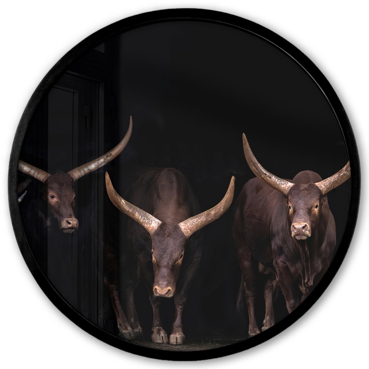 FrameYourWall Poster in lijst Rond - Fotolijst 40x40 cm - Posters - Stieren - Dieren - Bruin - Donker - Ronde posterlijst zwart - Decoratie - Wanddecoratie woonkamer - Muurdecoratie slaapkamer Multicolor
