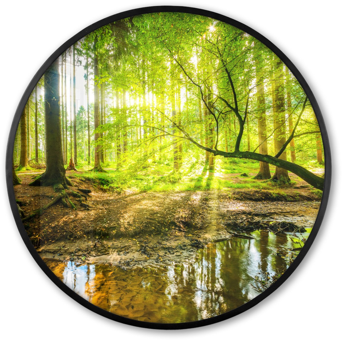 FrameYourWall Poster in lijst Rond - Fotolijst 80x80 cm - Posters - Bos - Landschap - Water - Bomen - Zon - Groen - Natuur - Ronde posterlijst zwart - Decoratie - Wanddecoratie woonkamer - Muurdecoratie slaapkamer