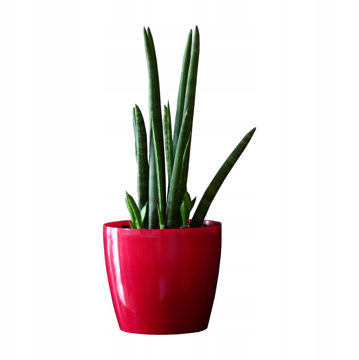 Glanzende Rode Pot 18x15,9 cm - Stijlvol en Weerbestendig