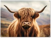 Affiche de jardin 120x90 cm - Décoration de jardin Highland écossais - Paysage - Animal - Affiche pour le jardin - Décoration extérieure - Tableau pour clôture de jardin - Décoration murale sur toile pour jardin - Décoration murale pour balcon