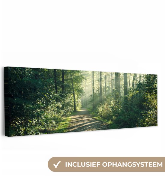 Canvas schilderij 150x50 cm - Wanddecoratie Bos - Pad - Zon - Bomen - Groen - Natuur - Muurdecoratie woonkamer - Slaapkamer decoratie - Kamer accessoires - Schilderijen op canvas