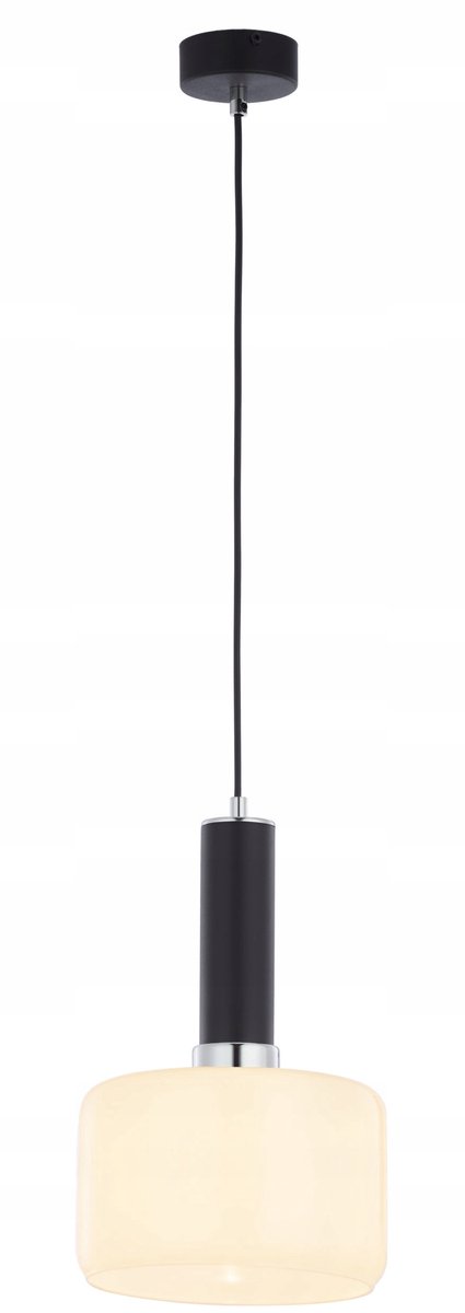 VANES Hanglamp 1-lichts Chroom Wit Glas E27 60W