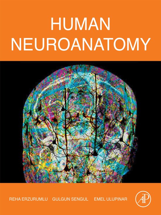 Human Neuroanatomy - cover