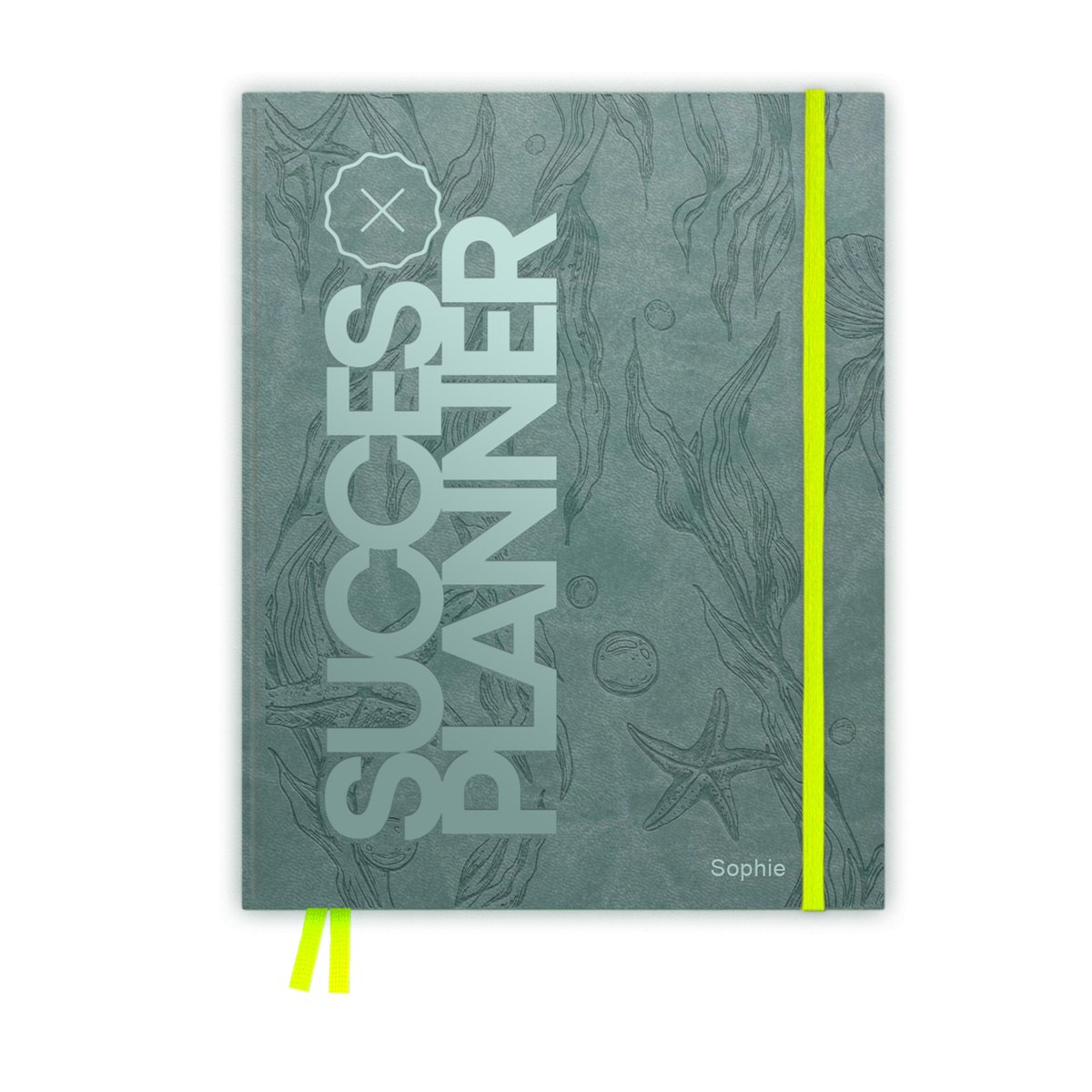 SuccesPlanner 2026 - weekplanner & agenda – privé & business in één planner - Blue lagoon - Kantoor & School - Planners