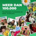 Collage van vrouwen die amaryllis- en leliebloemen vasthouden en tonen, met de tekst 'Meer dan 100.000 tevreden tuiniers'.