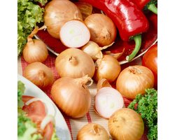 Sjalotten - Red Sun - 500 gram - Geel - Plantui voor Tuin - Bollen om te Planten - Voor de Moestuin