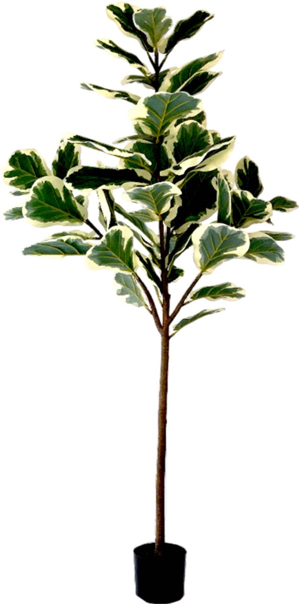 NeverLeafs Kunstplant Ficus Lyrata Deluxe - 160cm Groen