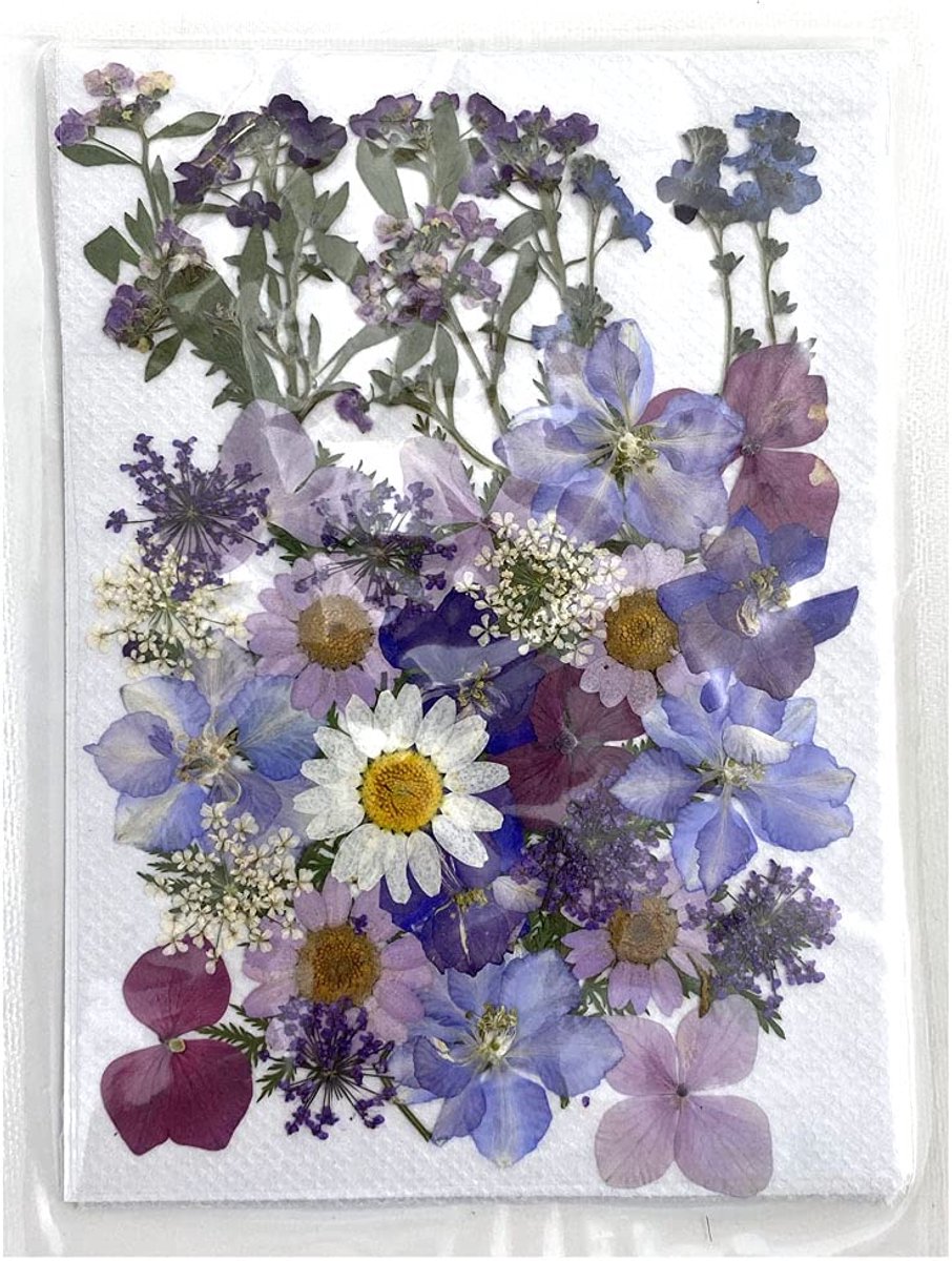 Gedroogde Persbloemen - Natuurlijke Kleurige Droogbloemen voor Resin Sieraden, Nagelkunst, Doe-Het-Zelf (Paars)