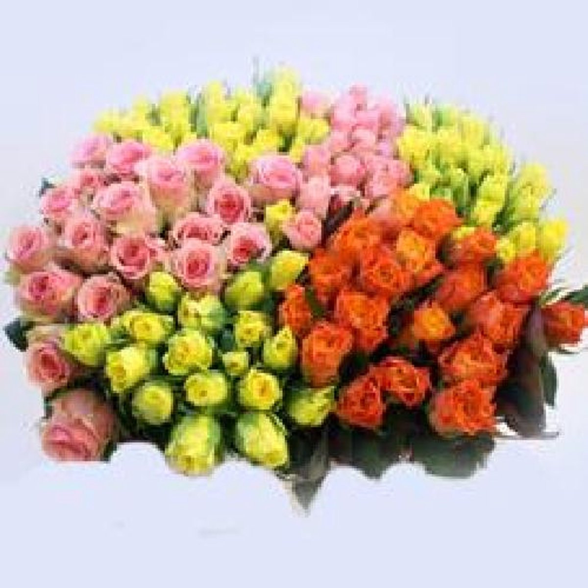 80x Rosa mix var.(kleinbloemig) 40cm