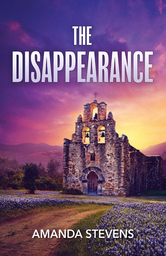 Mills & Boon Heroes - The Disappearance - cover