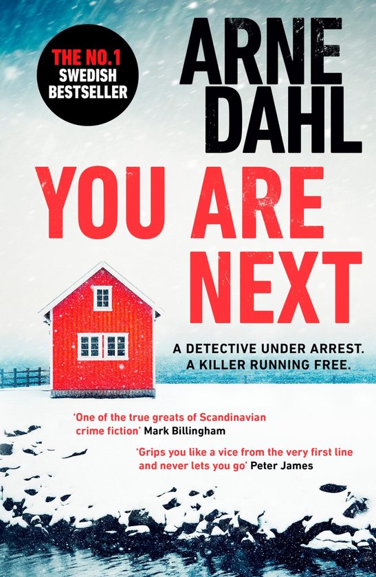 Sam Berger Series3- You Are Next - cover
