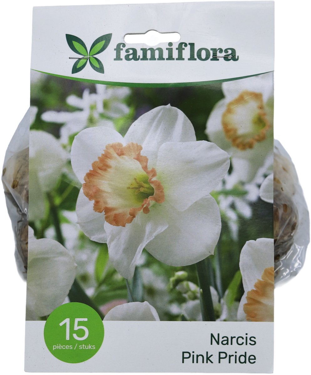 Famiflora Narcis Pink Pride - Voorjaarsbloeiers - 15 bloembollen - Roze bloemen brengen optimisme en vrolijkheid voor een opgewekte tuin - Symboliseert lente en groei waardoor je tuin energie krijgt