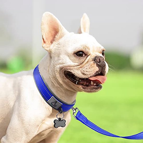 PETTOM Hondenhalsband (blauw XS), grote/middelgrote/kleine hondenhalsband van nylon, reflecterend, verstelbaar, gevoerd