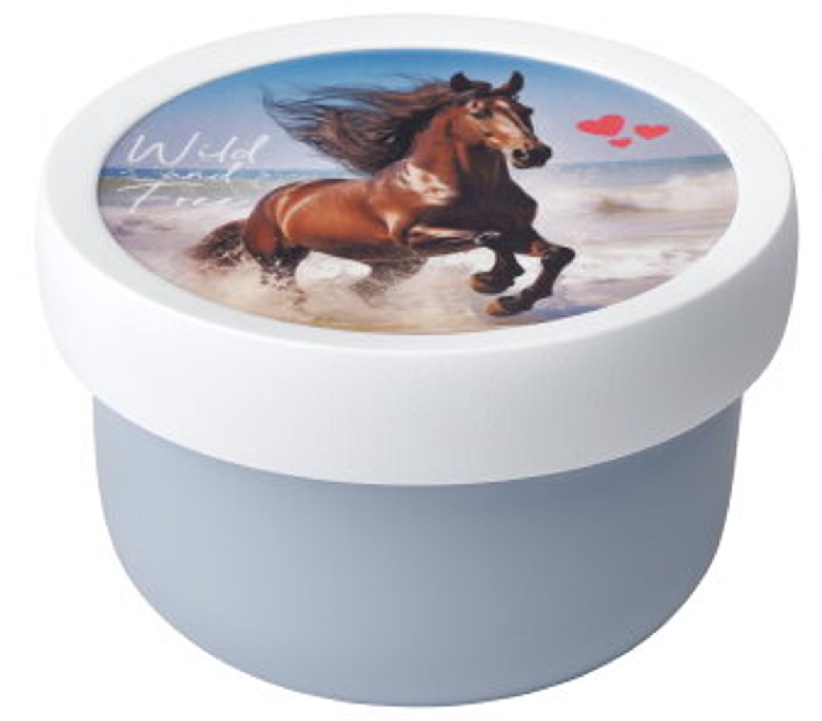 Mepal fruitbox Campus – 300 ml – Inclusief fruitvorkje – Sluit goed af – Snackdoosje – Wild Horse