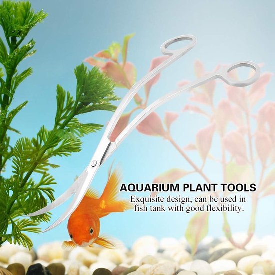 Aqua della plant cup glas transparant