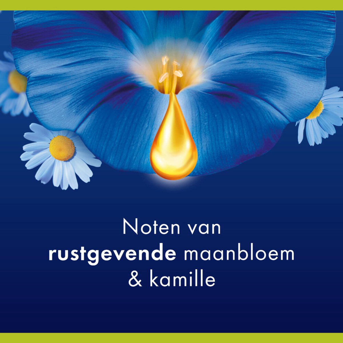 Palmolive - Douchegel Aroma Essence Sleep - 12 x 250 ml - Voordeelverpakking